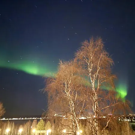 Charming Comfort In The Heart Of Snowy Rovaniemi
